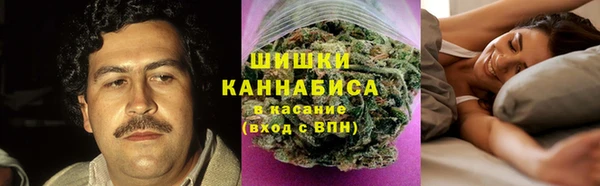 бошки Надым