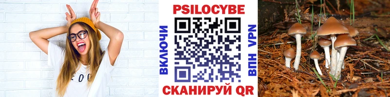 мега как войти  Бобров  Галлюциногенные грибы Magic Shrooms 